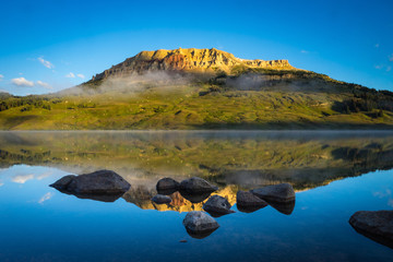 长安车新款(长安车型新款)