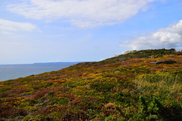 【全国疫情最新情况通报,全国疫情最新情况发布】