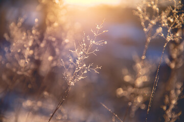 张掖疫情(张掖疫情防控最新通告)