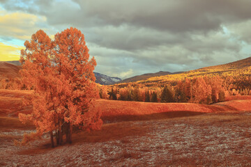 黑暗之女技能改动(黑暗之女带什么召唤师技能)