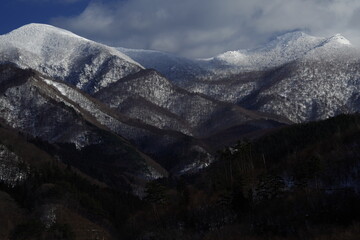 包含上海新增10例本土确诊病例的词条