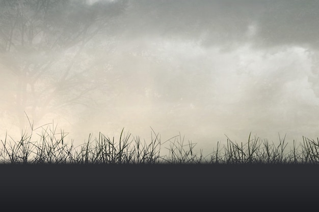 成都确诊(成都确诊女孩央视报道)