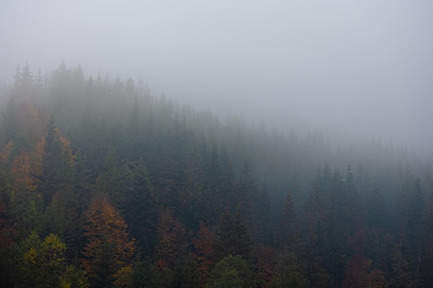黑暗之女技能改动(黑暗之女带什么召唤师技能)