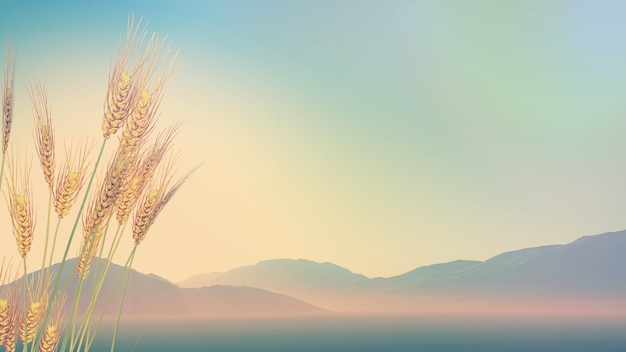 丰田suv所有车型/丰田新款suv车型