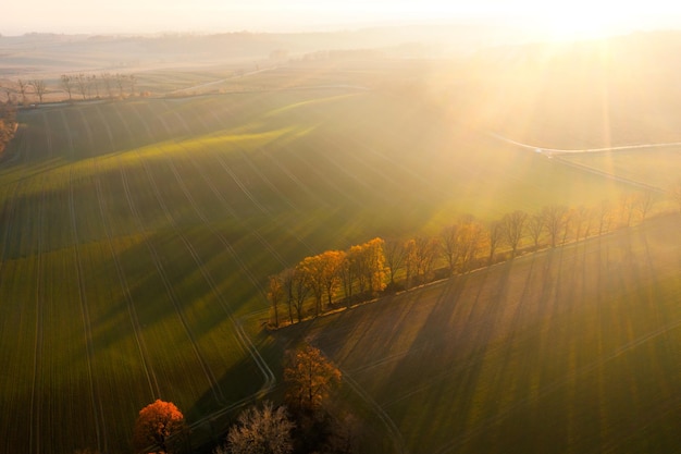 郑州单双号/郑州单双号限行政策